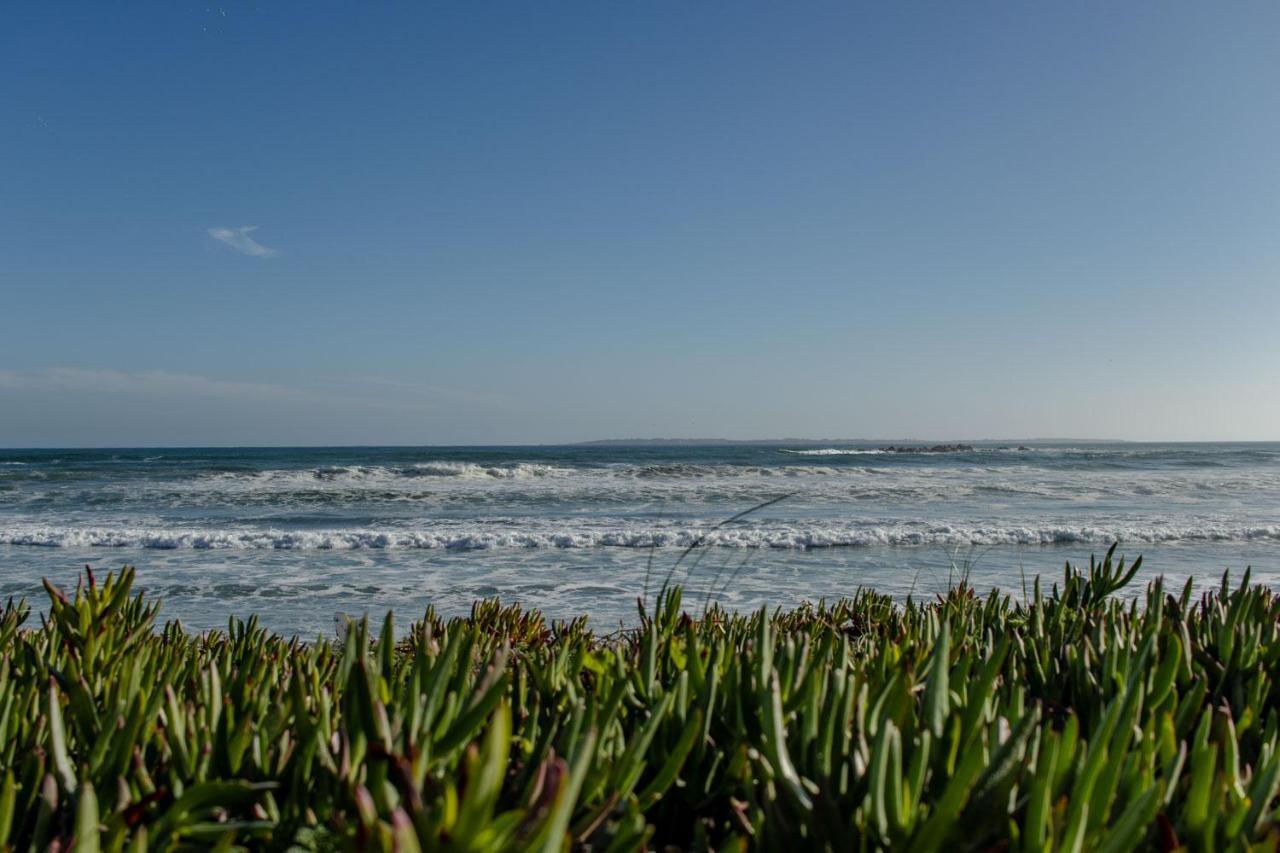 Blaauw Village Guest House Bloubergstrand Eksteriør billede